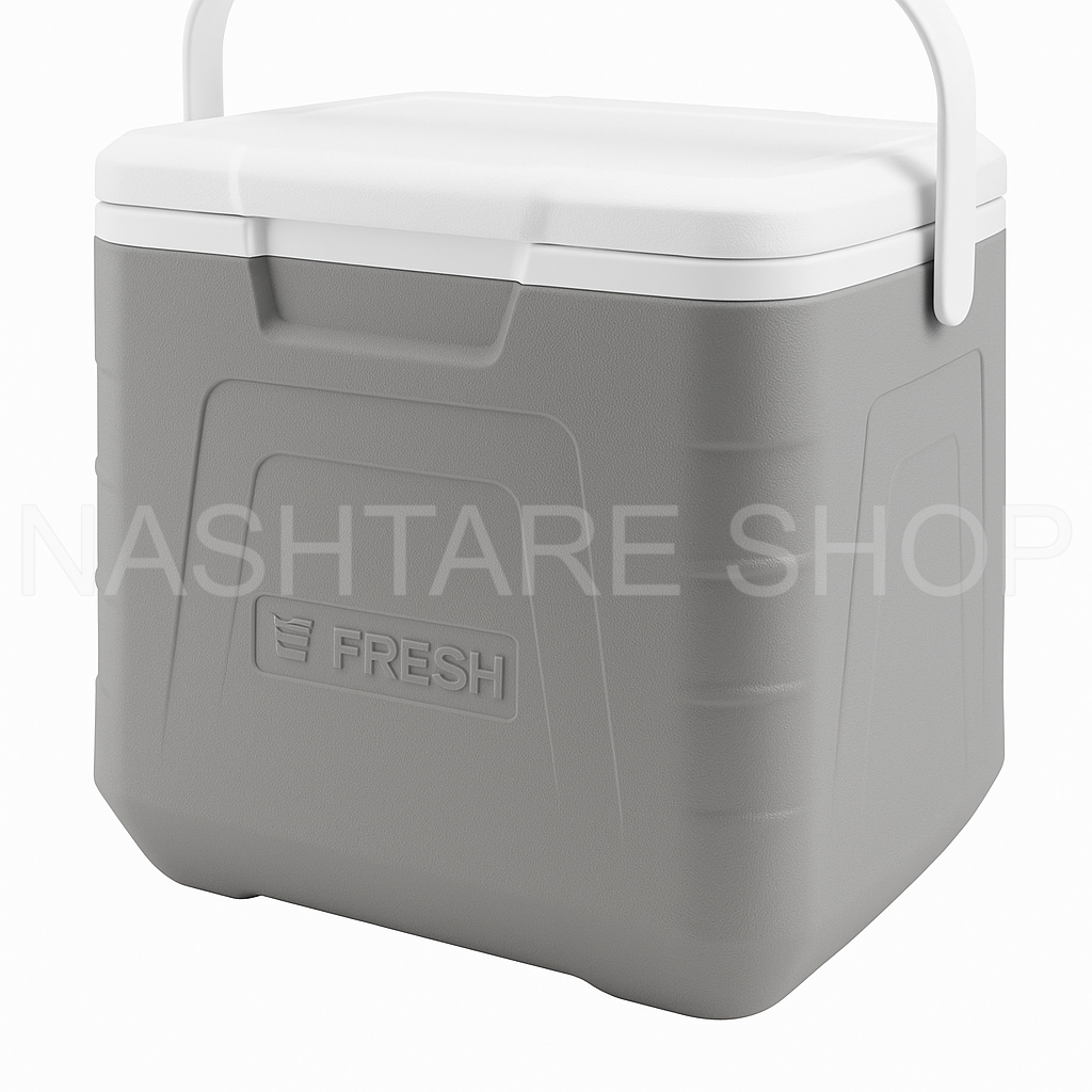 Insulated Cooler Box | صندوق ثلج - Image 2