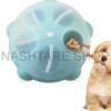 Rotating Pet Bowl | صحن دوار للحيوانات